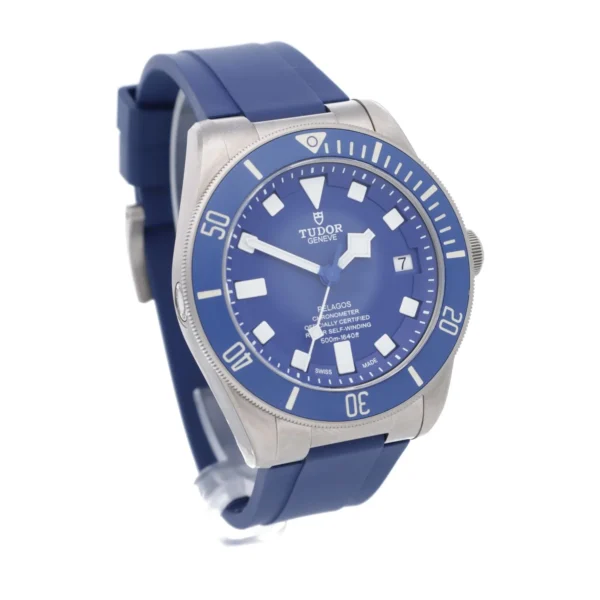 Tudor Pelagos – Bild 3