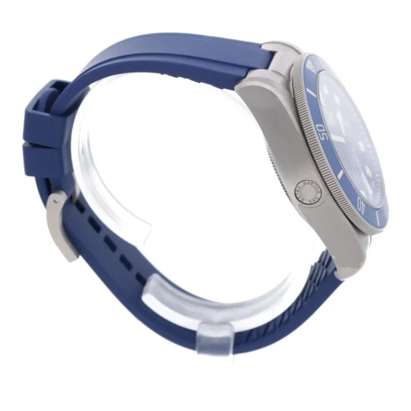Tudor Pelagos – Bild 4