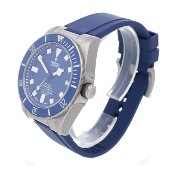 Tudor Pelagos – Bild 6